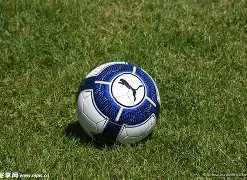 网鱼电竞,打造全民电,竞盛宴,开云体育,开云体育官网,开云体育app,开云体育平台,KAIYUN,SPORTS,kaiyun登录入口