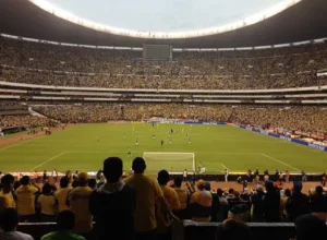 开云平台官,方网品牌大,使皮耶罗,开云体育,开云体育官网,开云体育app,开云体育平台,KAIYUN,SPORTS,kaiyun登录入口