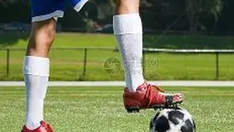 美元指数每日走势预测：2025年11月25日