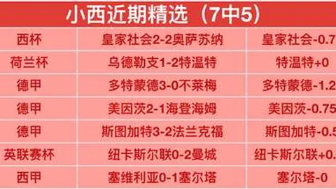 海港加紧重塑阵容：本土补充完成双星，外援招募正进行
