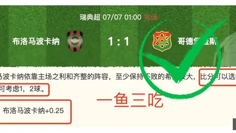 开云平台官方网品牌大使皮耶罗 121258 7