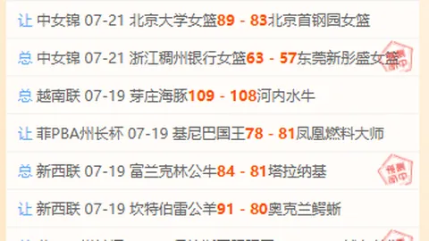 开云平台官方网品牌大使皮耶罗开云品牌大使突发变动引发关注